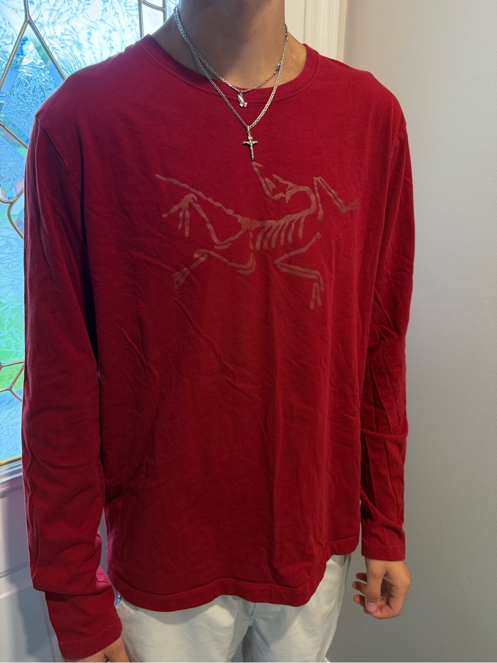Arc’teryx Big logo Graphic ARCHAEOPTERYX LONGSLEEVE T-SHIRT Size L/XL Like New